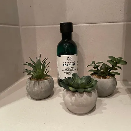 דירה Lovely 2-bedroom Serviced With בנסקו