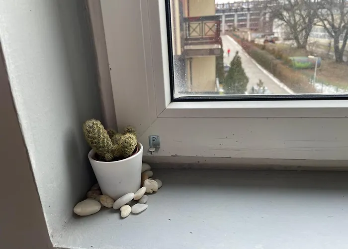 Lovely 2-bedroom Serviced With Apartment Bansko